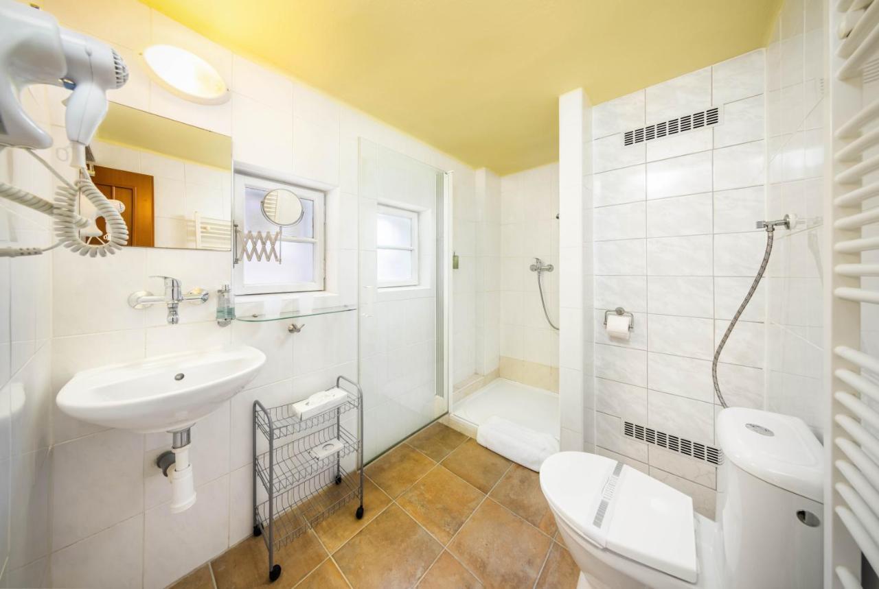 Hotel Záviš Z Falkenštejna 4*
