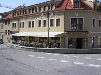 Záviš Z Falkenštejna