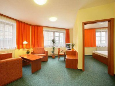Hotel Záviš Z Falkenštejna 4*